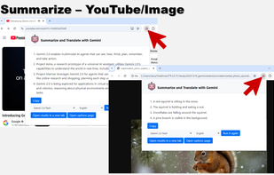 Summarize and Translate with Gemini screenshot 2