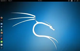 Kali Linux screenshot 1