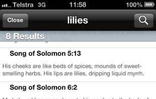 PocketSword screenshot 1