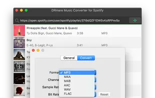 DRmare Spotify Music Converter screenshot 1