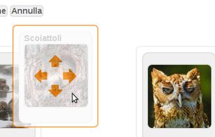 reorder album using drag drop