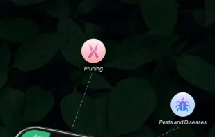 LeafSnap Plant Identification screenshot 1
