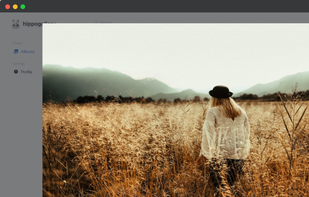 hippogallery screenshot 3