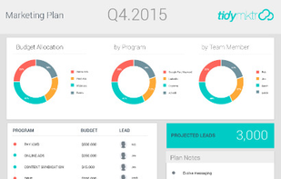 TidyMarketer.com screenshot 1