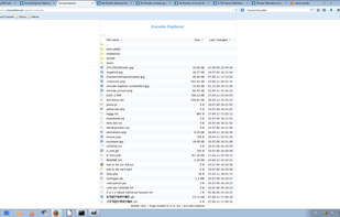 Encode Explorer screenshot 1