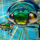 Speculative Evolution icon