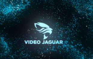 Video Jaguar screenshot 2