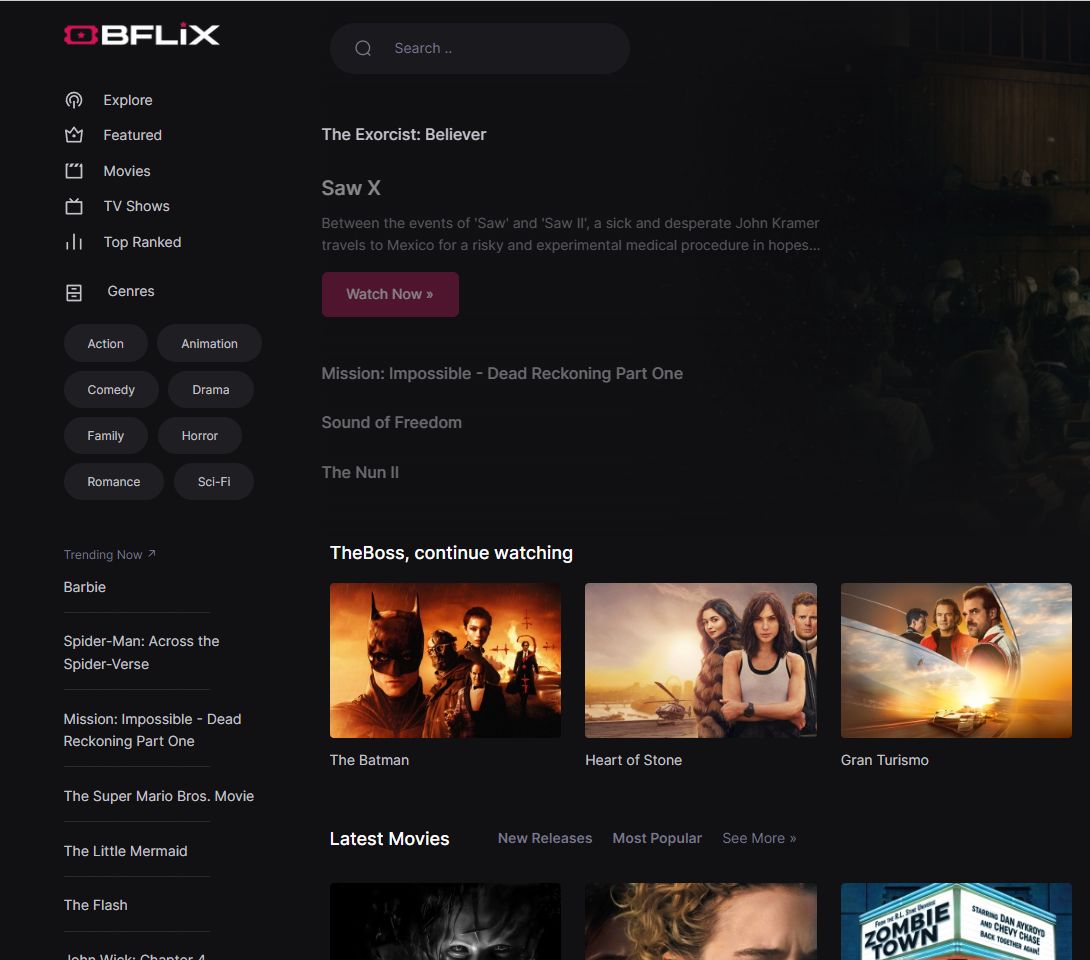 Bflix.gs Streaming Platform for Movies and TV Shows AlternativeTo