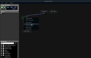 Cabbage Studio screenshot 2