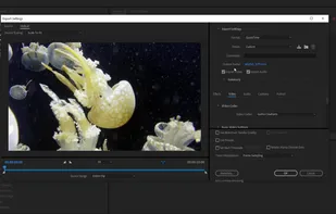 Autokroma Influx screenshot 2
