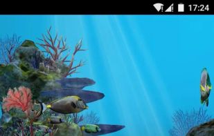 3D Aquarium Live Wallpaper HD screenshot 3