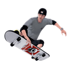 Tony Hawk&#39;s Pro Skater icon