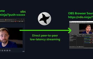 VDO.Ninja screenshot 1