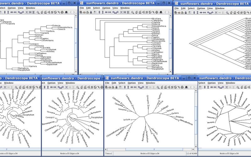 TreeView X Alternatives and Similar Software | AlternativeTo