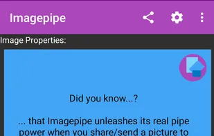 home screen of the app