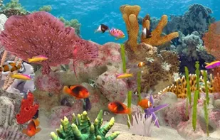 Fish Farm screenshot 1