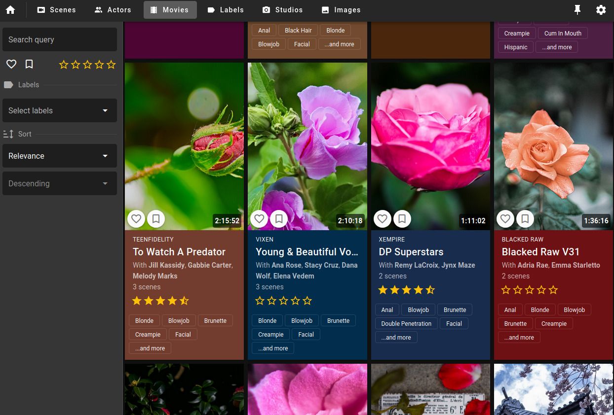Porn Vault: 100% open-source porn organizer with mobile support |  AlternativeTo