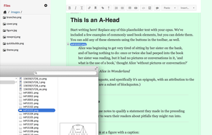 O'reilly Atlas screenshot 2