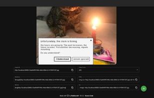 The image viewing page, allowing you to copy your image in common formats