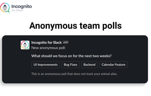 Incognito for Slack screenshot 1