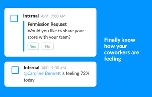 Internal screenshot 1