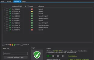 Wasabi Wallet screenshot 2