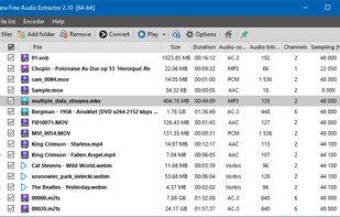 Pazera Free Audio Extractor screenshot 3