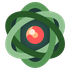 Nucleus Co-op icon