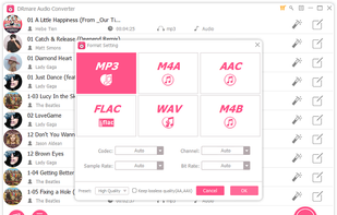 DRmare Audio Converter screenshot 1