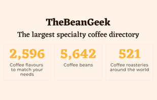 TheBeanGeek screenshot 2