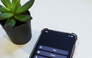 Sleep Nest screenshot 1