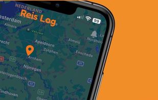 Reis Log screenshot 1