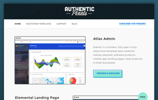 Authentic Pixels screenshot 1