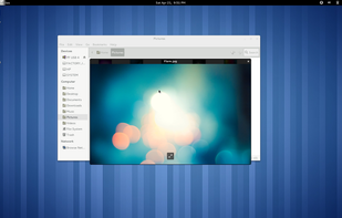 GNOME Sushi screenshot 1