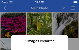 Magic Photo Vault screenshot 2