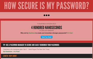 How Secure Is My Password? screenshot 1