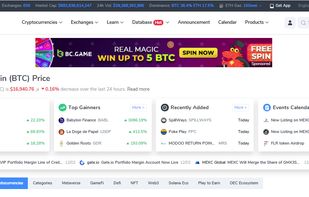 Website