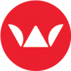 Wayback Machine Downloaders icon