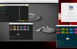 Remmina screenshot 1