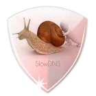 SlowDNS icon
