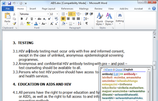 tlTerm Microsoft Word addon