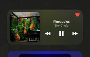 WidgetPod screenshot 2