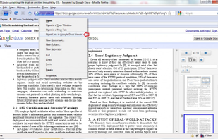 Google Docs Viewer (Firefox add-on) screenshot 2