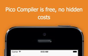 Pico Compiler screenshot 3