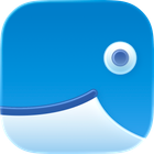 WhaleDeck