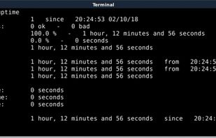 tuptime default output