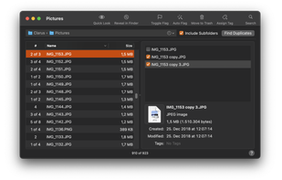Duplicarius screenshot 1
