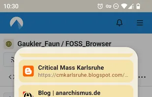 FOSS Browser screenshot 2