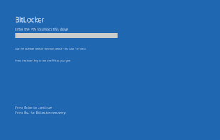 Windows BitLocker screenshot 2