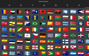 Flags tab